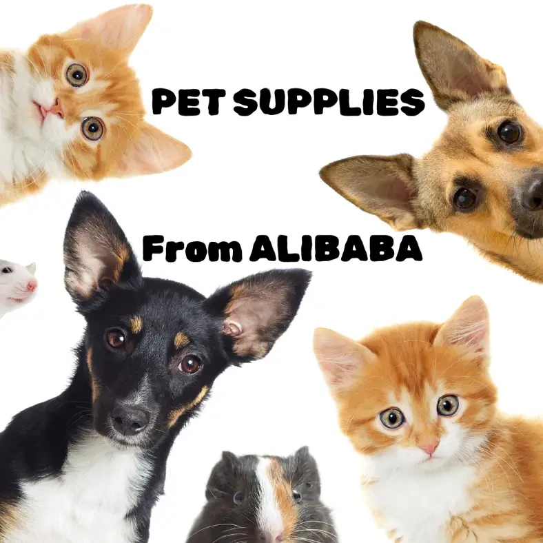 Pet Supplies στο Alibaba